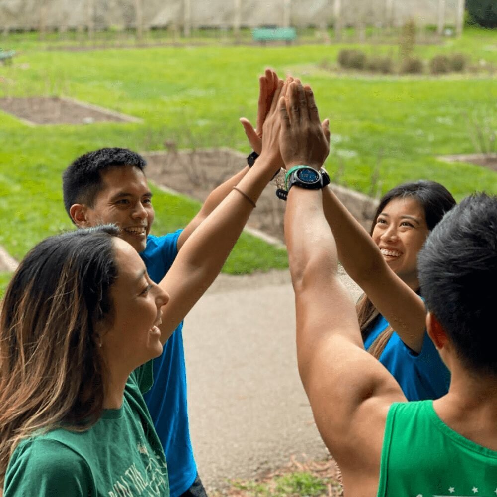 group of friends high five each other in a park